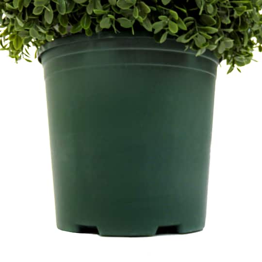 3.5ft. Boxwood Spiral Topiary